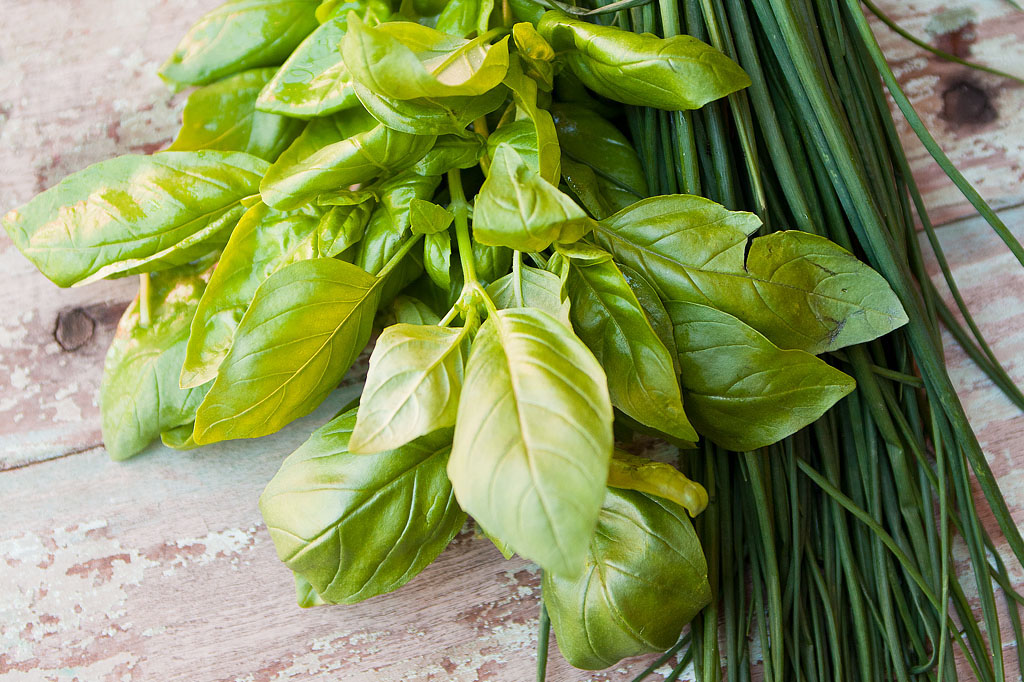 Fresh basil and spring onions photographed for Spudbar campaign highlighting natural ingredients and wholesome restaurant branding Melbourne